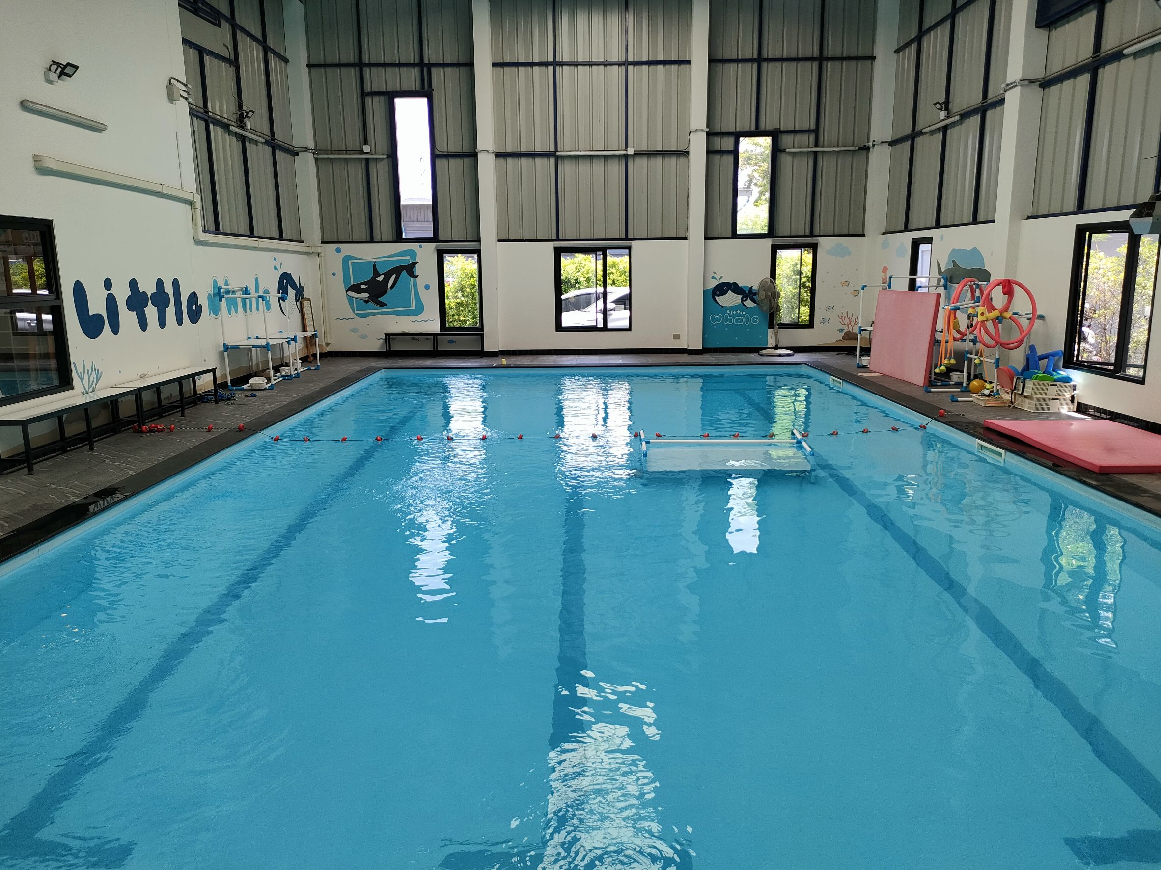 Little Whale Swim School PAC